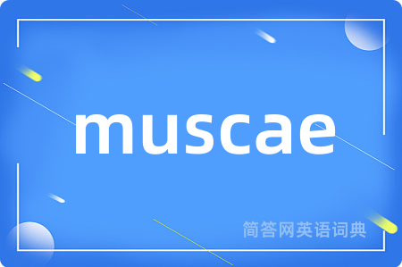 muscae是什么意思,muscae的中文翻译 muscae