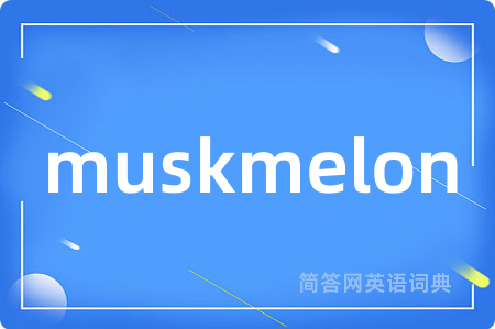 muskmelon是什么意思,muskmelon的中文翻译 muskmelon