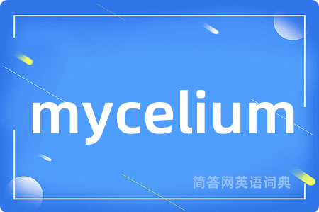 mycelium是什么意思,mycelium的中文翻译 mycelium