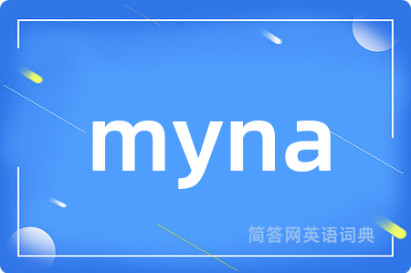 myna是什么意思,myna的中文翻译 myna