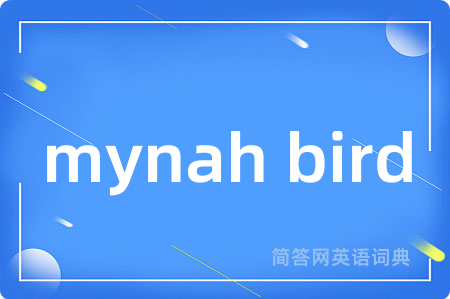 mynah bird是什么意思,mynah bird的中文翻译 mynah bird