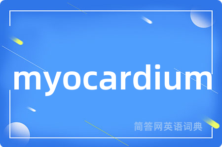 myocardium