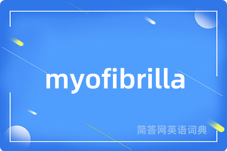 myofibrilla是什么意思,myofibrilla的中文翻译 myofibrilla