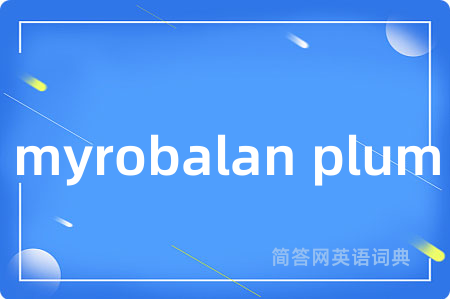 myrobalan plum是什么意思,myrobalan plum的中文翻译 myrobalan plum