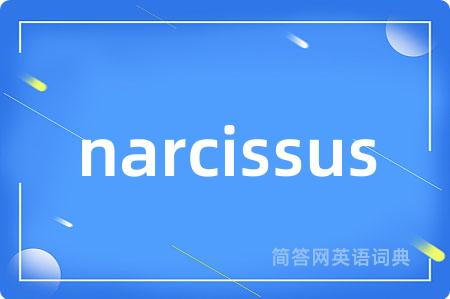 narcissus是什么意思,narcissus的中文翻译 narcissus