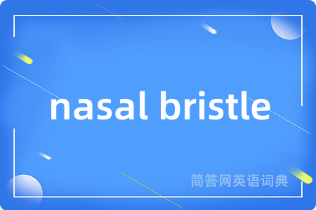 nasal bristle是什么意思,nasal bristle的中文翻译 nasal bristle