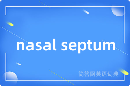 nasal septum