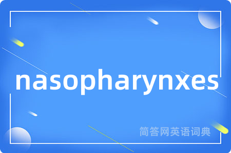 nasopharynxes是什么意思,nasopharynxes的中文翻译 nasopharynxes