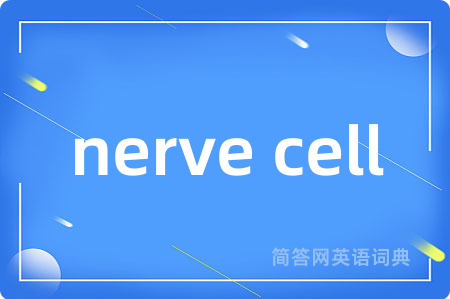 nerve cell