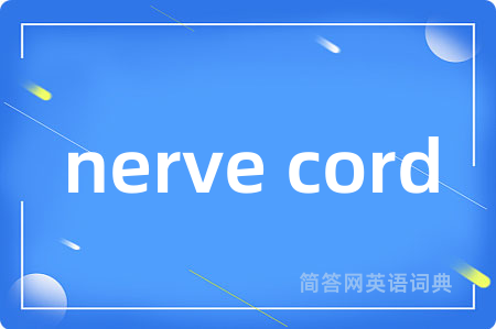nerve cord是什么意思,nerve cord的中文翻译 nerve cord