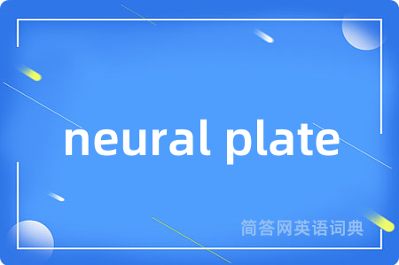 neural plate是什么意思,neural plate的中文翻译 neural plate