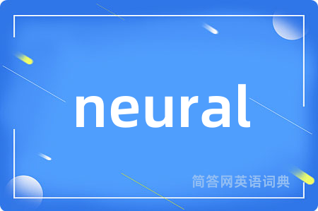 neural
