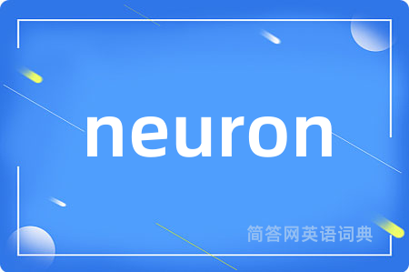 neuron