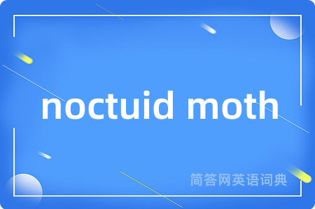 noctuid moth