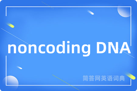 noncoding DNA