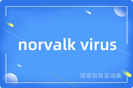 norvalk virus