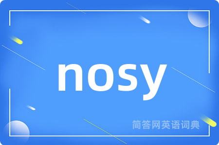 nosy是什么意思,nosy的中文翻译 nosy