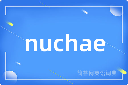 nuchae是什么意思,nuchae的中文翻译 nuchae