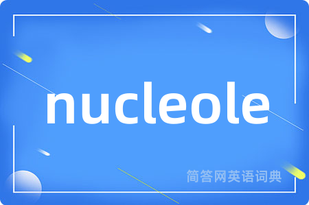 nucleole是什么意思,nucleole的中文翻译 nucleole