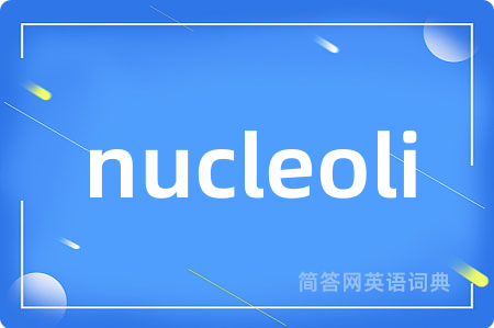 nucleoli是什么意思,nucleoli的中文翻译 nucleoli