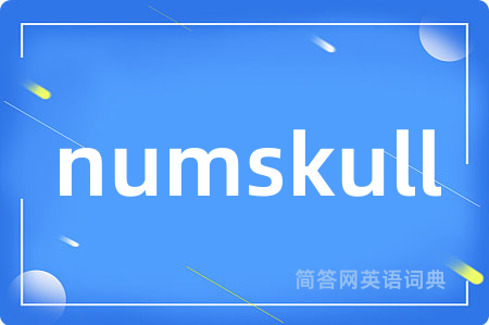 numskull是什么意思,numskull的中文翻译 numskull