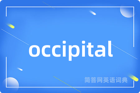occipital是什么意思,occipital的中文翻译 occipital