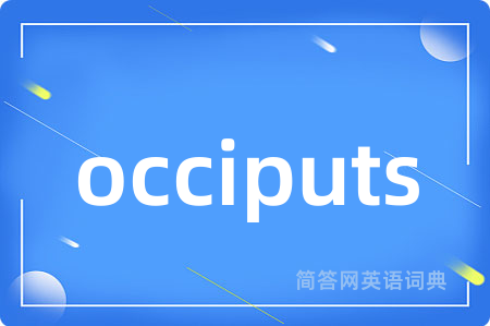 occiputs
