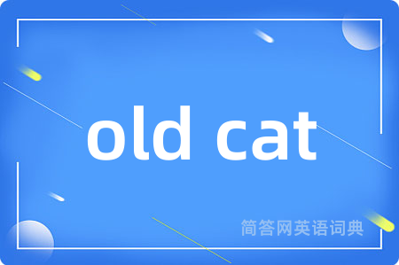 old cat