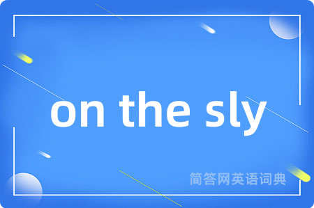on the sly是什么意思,on the sly的中文翻译 on the sly