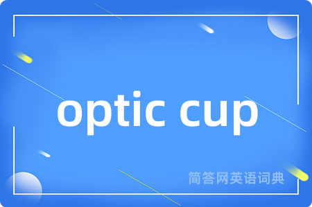 optic cup是什么意思,optic cup的中文翻译 optic cup