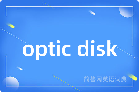 optic disk