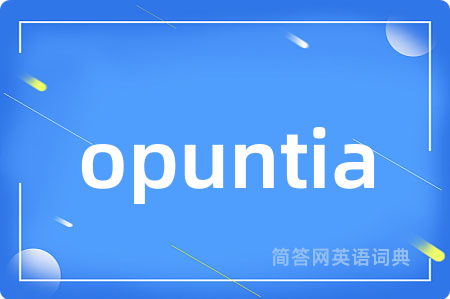 opuntia是什么意思,opuntia的中文翻译 opuntia