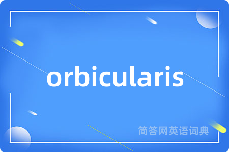 orbicularis