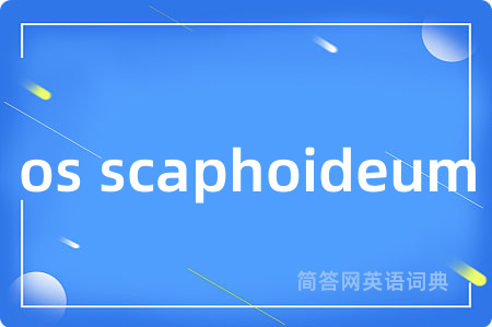 os scaphoideum