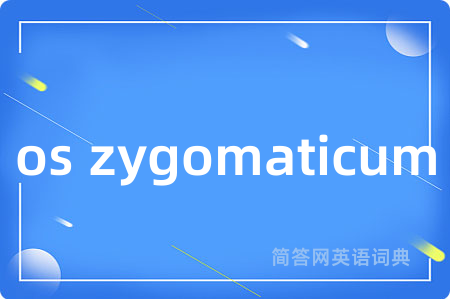 os zygomaticum