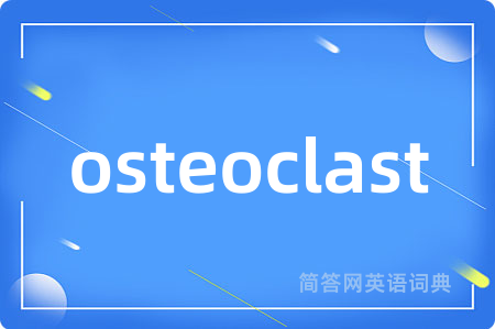 osteoclast