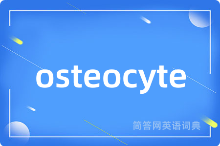 osteocyte