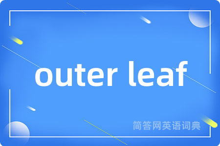 outer leaf