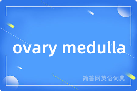 ovary medulla是什么意思,ovary medulla的中文翻译 ovary medulla