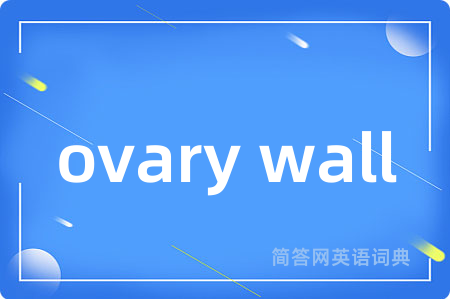 ovary wall