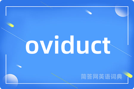 oviduct