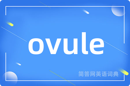 ovule