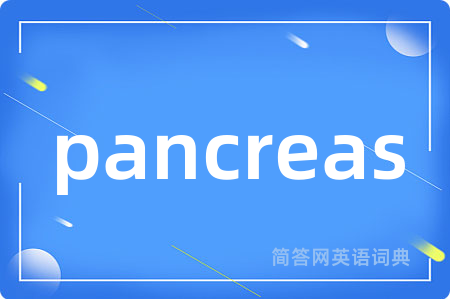 pancreas是什么意思,pancreas的中文翻译 pancreas