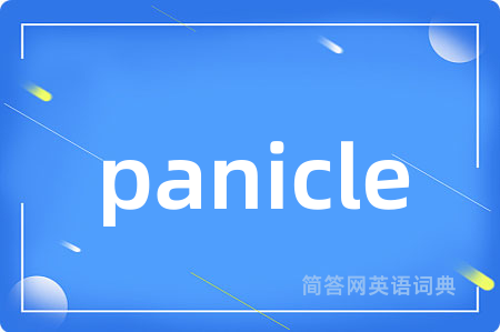 panicle