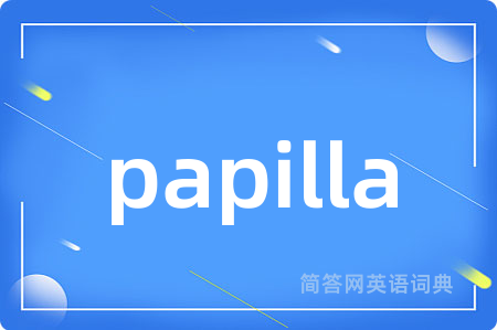 papilla