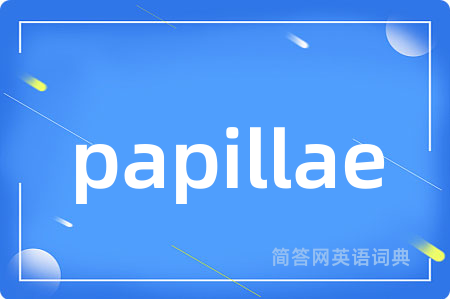 papillae是什么意思,papillae的中文翻译 papillae
