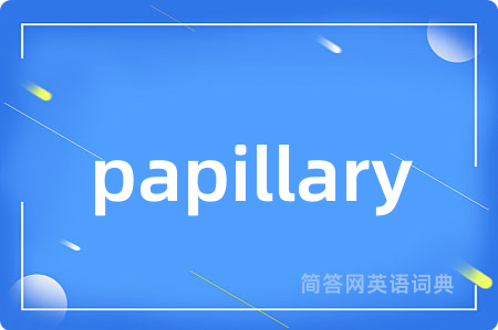 papillary是什么意思,papillary的中文翻译 papillary