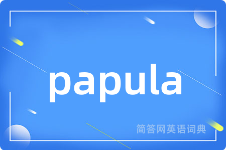 papula是什么意思,papula的中文翻译 papula