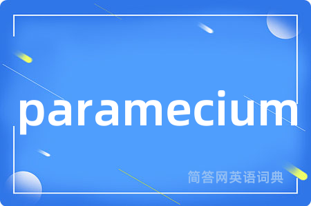 paramecium
