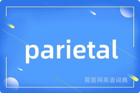 parietal